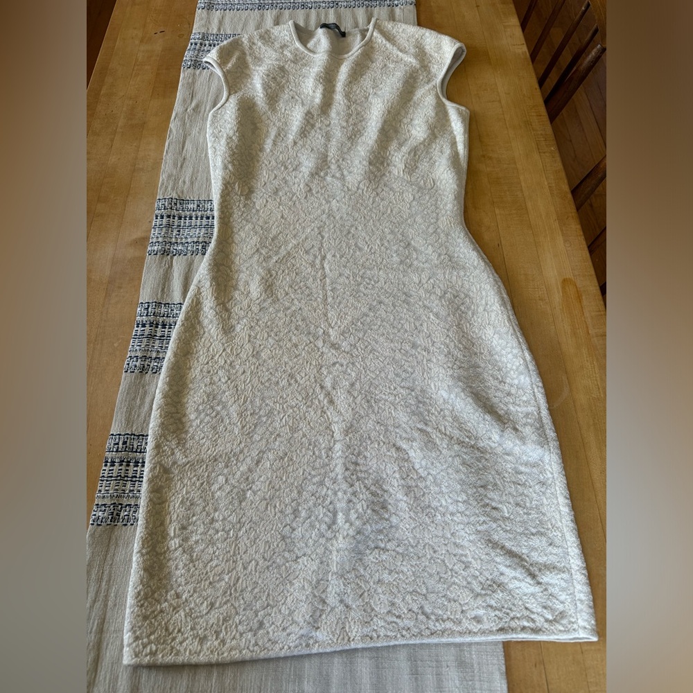 Alexander McQueen Dress